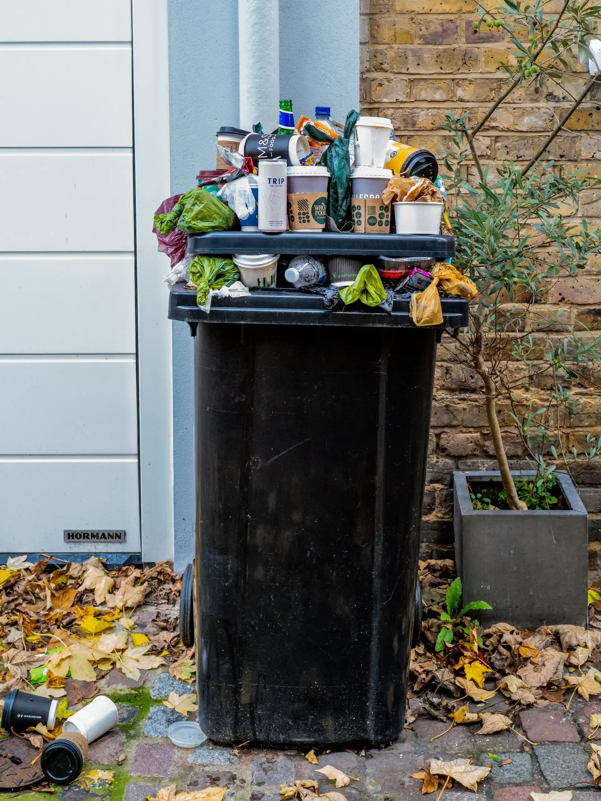 Neighbour using my bin