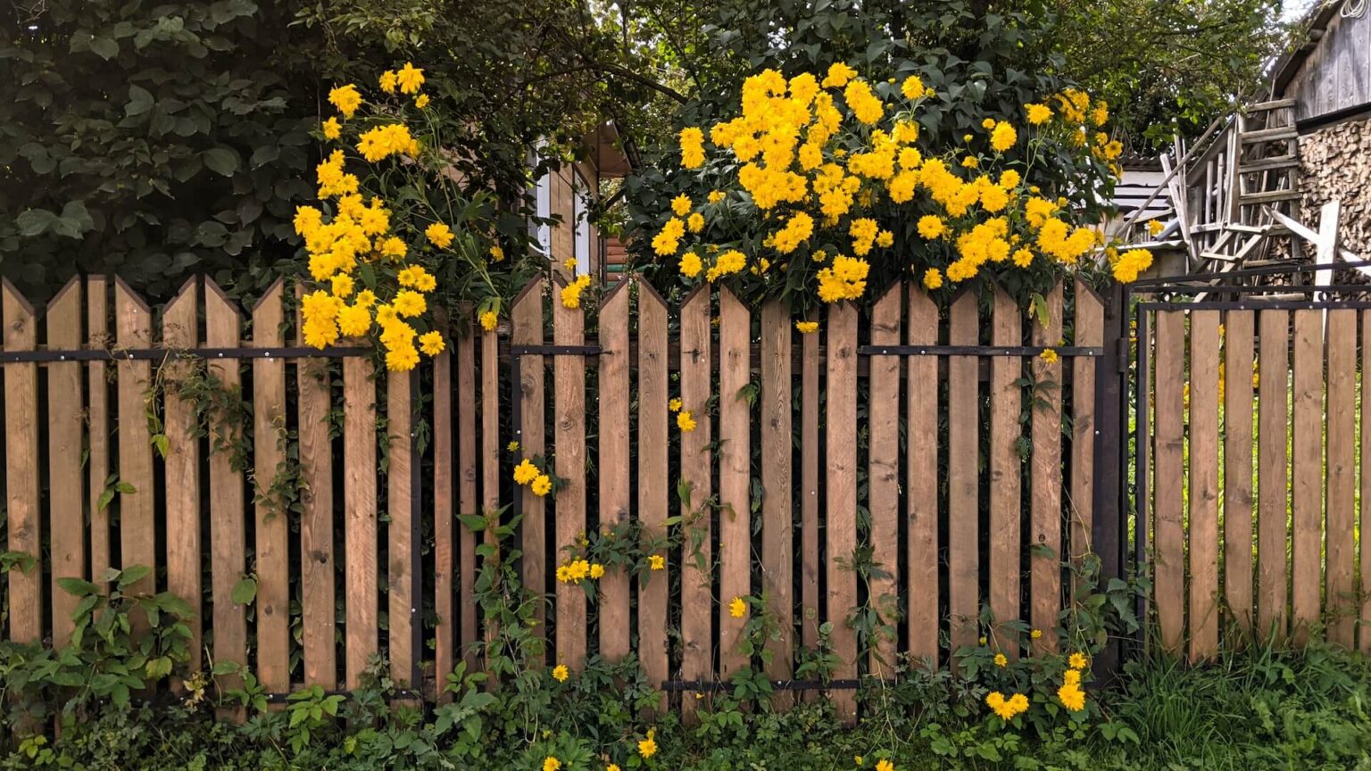 Neighbour Has Removed The Boundary Fence: What Can I Do?