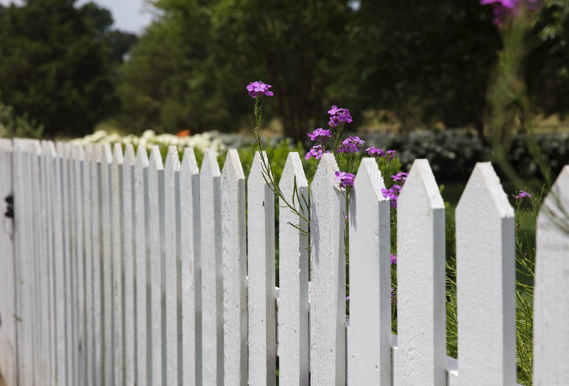 My Neighbour’s Fence is Too Low: A Boundary Dilemma