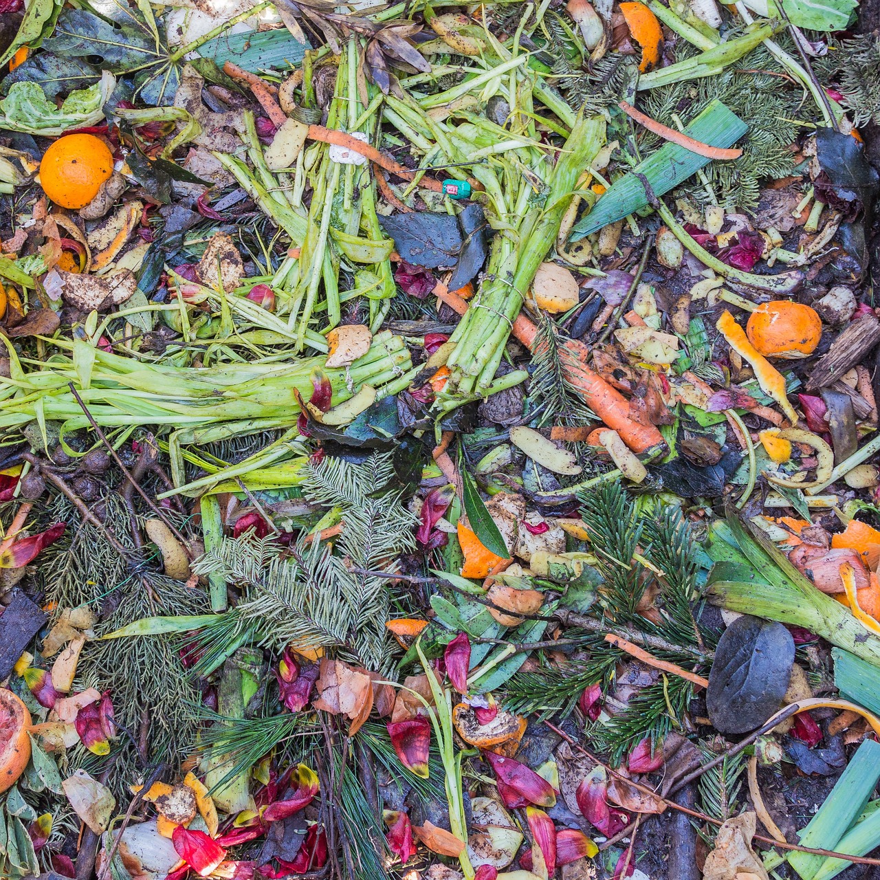 Neighbour fly-tipping garden waste