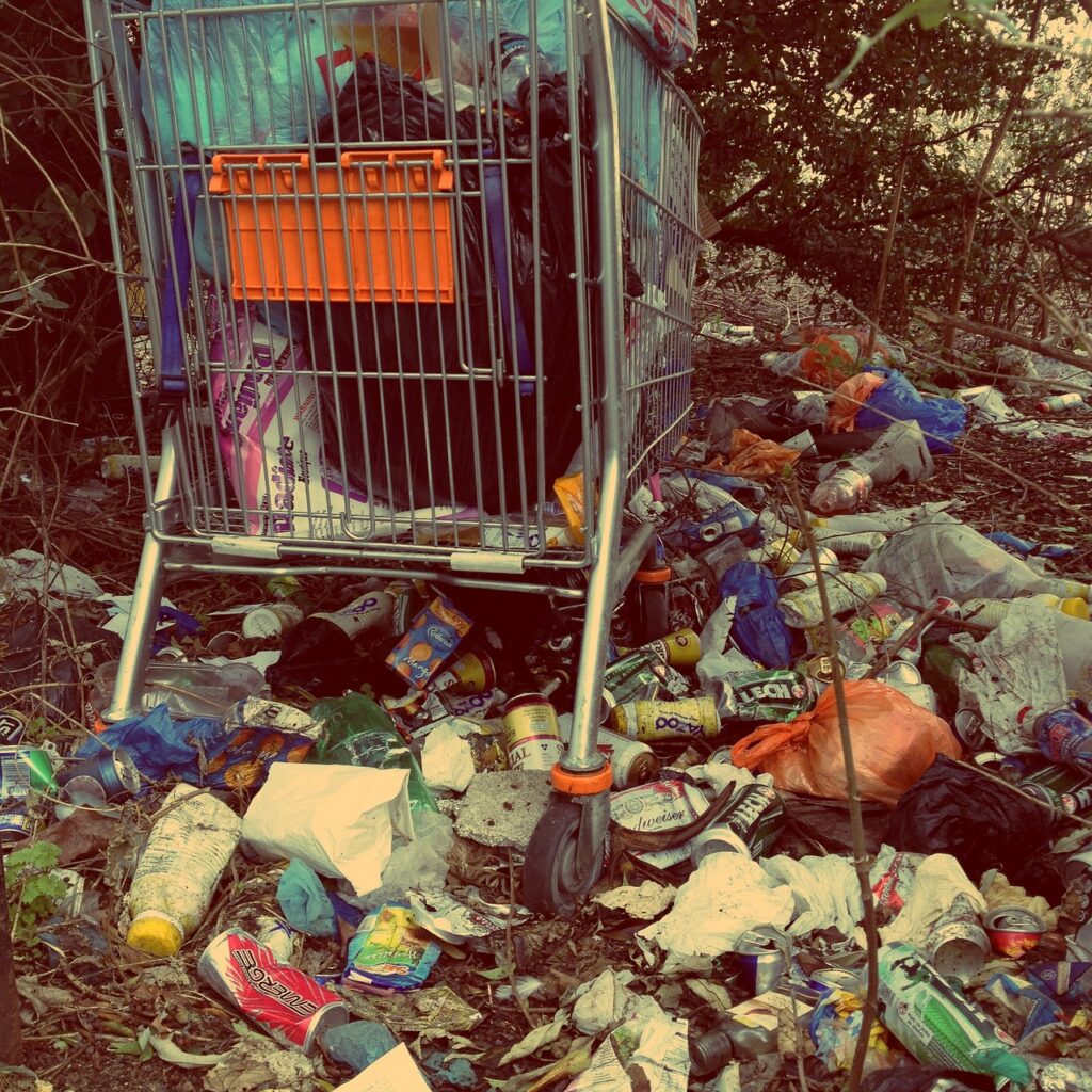 Neighbour throwing rubbish and garden waste into garden