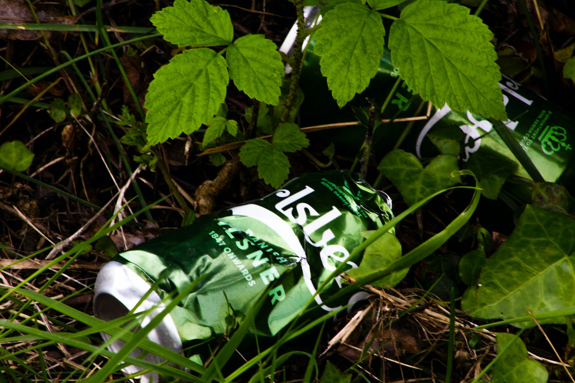 Neighbour Throwing Rubbish & Garden Waste Over Fence